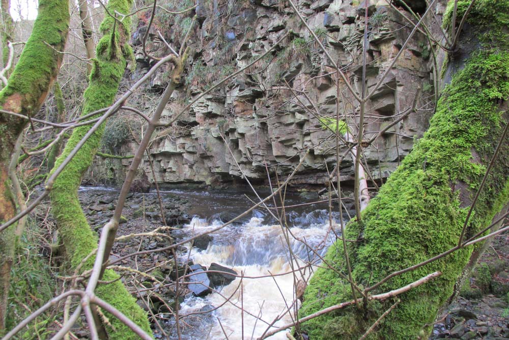 Dog walk of the day 9 march