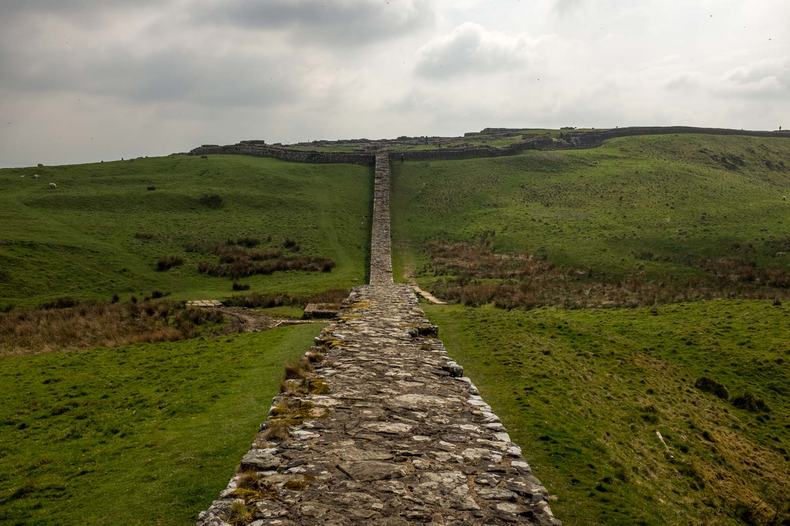 Housesteads lrg