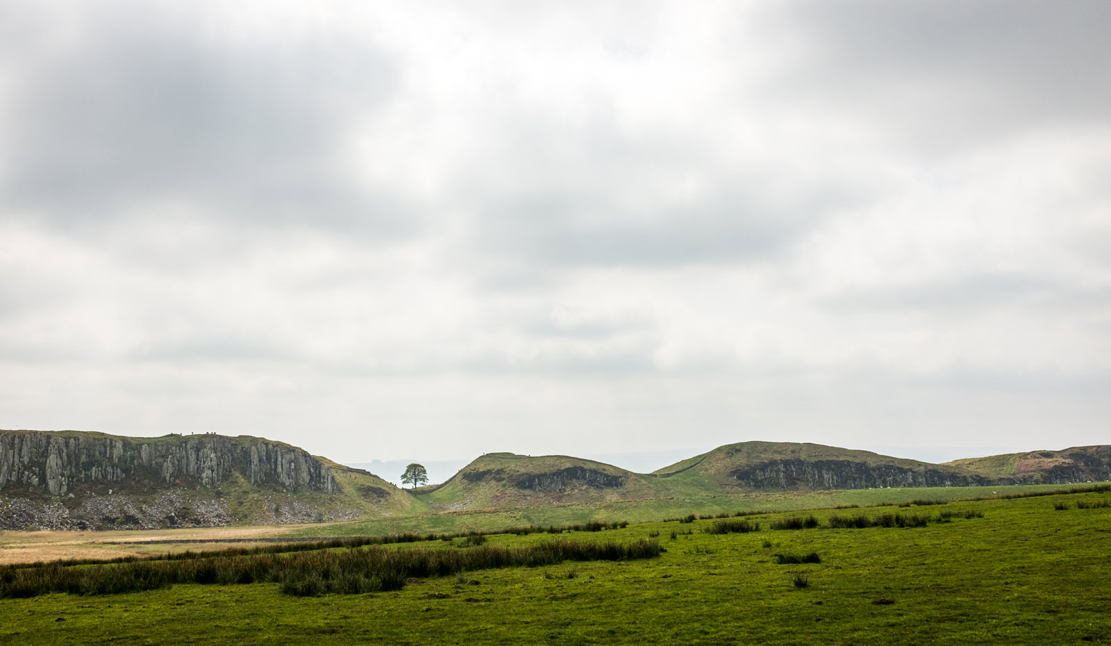 Sycamore gap long lrg